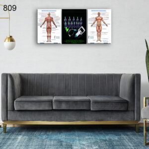 809:لوحة الحجامة من اربع اطارات